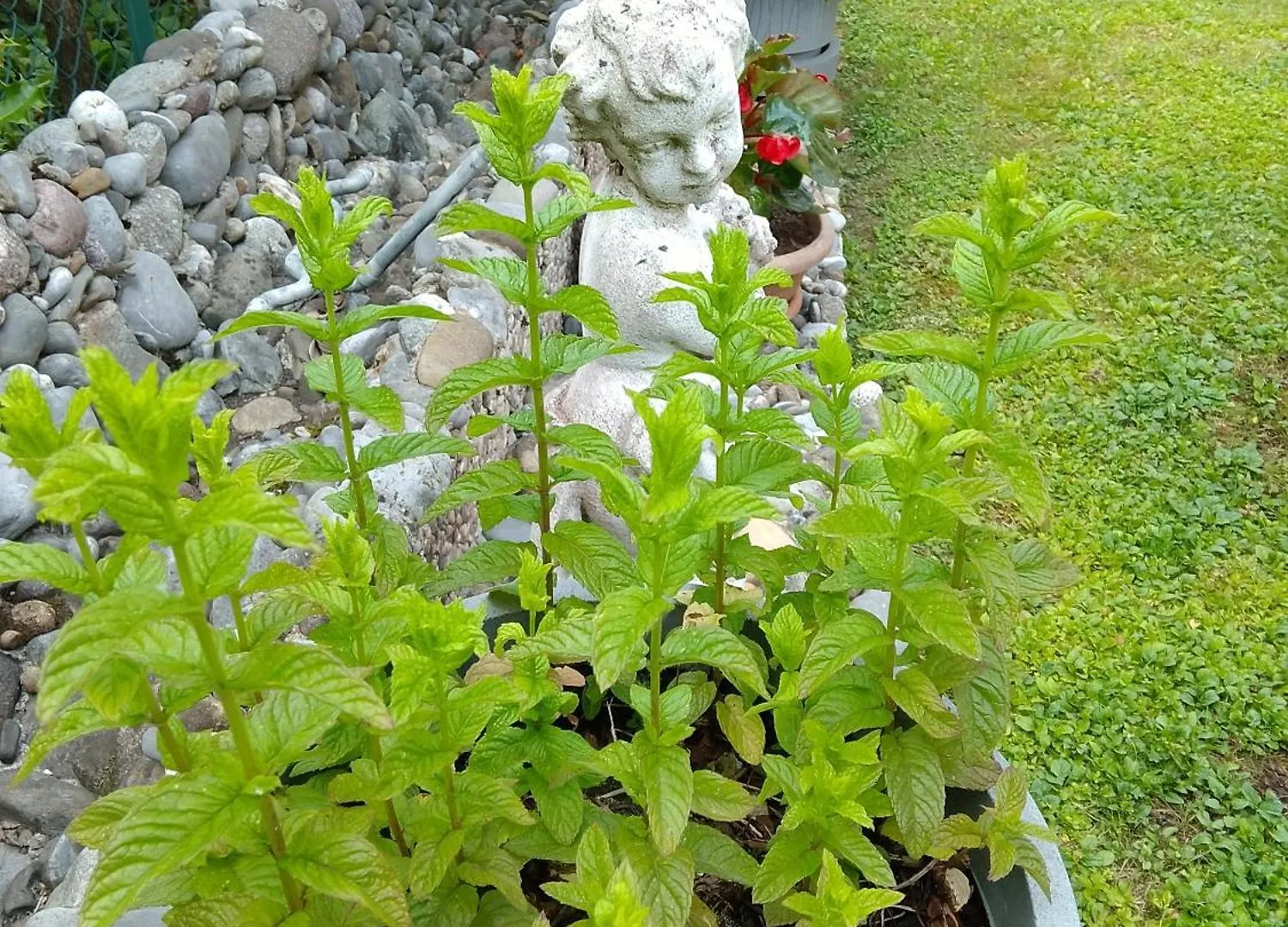Doris' Home Pisogne Italy